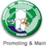 Nursing and Midwifery Council of Nigeria (NMCN) logo
