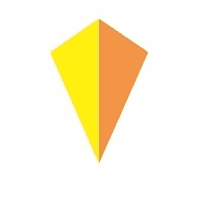 PRISM Vision Group