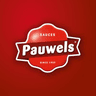 Pauwels N.V. logo