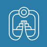 Puerto Vallarta Airport Transportation  logo