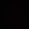 Iris Lam