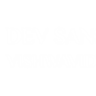 Dev Sanskriti University logo