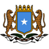 Government Networks logo