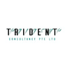 Trident Consultancy Pte Ltd logo