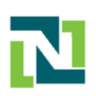 Neusoft logo