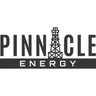Pinnacle Energy Group, Inc. logo