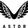 Castore logo