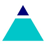 Selling to Executives logo