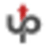 Develupers LLC logo