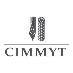 CIMMYT