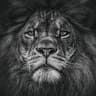 Herry Maphosa