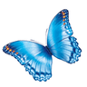 Nationwide Children’s Hospital logo