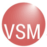 VSM Software Ltd logo