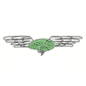 David Valin logo