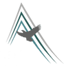 Summit Federal Services, LLC logo