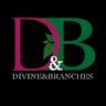 Divineand Branches