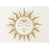 Light & Shade Wellness logo