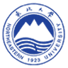 Northeastern University (China) logo