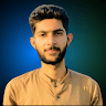 Muhammad Hammad Sani