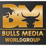 Bulls Media logo