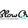 Blow Out Parlour logo