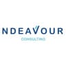 NDEAVOUR CONSULTING logo
