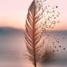 Annyely Lineth Cuadros Wilches