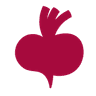 Beetroot Academy logo