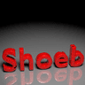 Mohammed Shoeb