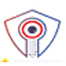 INSA Cyber Talent Summer Camp logo