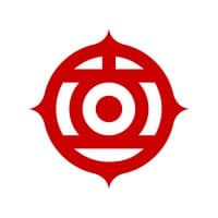 Hitachi Digital Services