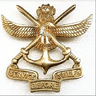 National Defence Academy under the aegis of Jawaharlal Nehru University logo
