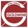 Goldmine Stocks Pvt Ltd logo