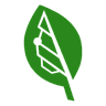 Bigleaf Networks logo