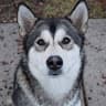 Franny User