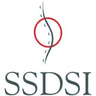 Six Sigma Development Solutions, Inc logo
