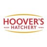 Hoover's Hatchery logo