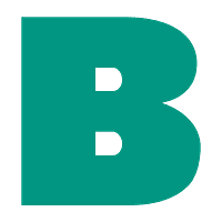 Badger Infrastructure Solutions