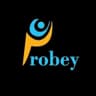 Probey Services logo
