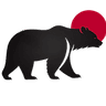 Bear Systems logo