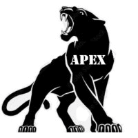 Apexcybersecurity