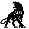Apexcybersecurity logo