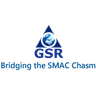 GSR Business Services Private Limited logo