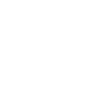 Netshoes logo