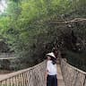 Thảo Vũ