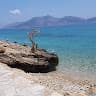 Αλέξανδρος Καπογιάννης