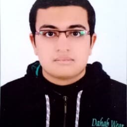 Abdelrahman  Eltayeb