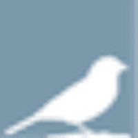 Sparrow Partners
