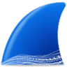 Wireshark logo