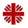 Caritas Nairobi logo